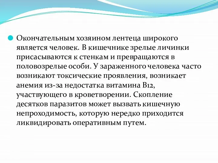 Окончательным хозяином лентеца широкого является человек. В кишечнике зрелые личинки присасываются к