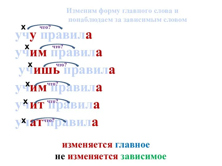 учу правила учим правила учишь правила учим правила учит правила учат правила