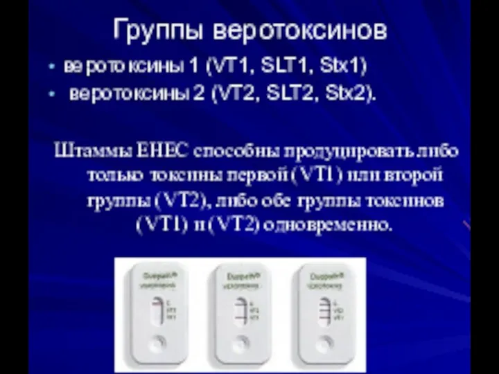 Группы веротоксинов веротоксины 1 (VT1, SLT1, Stx1) веротоксины 2 (VT2, SLT2, Stx2).