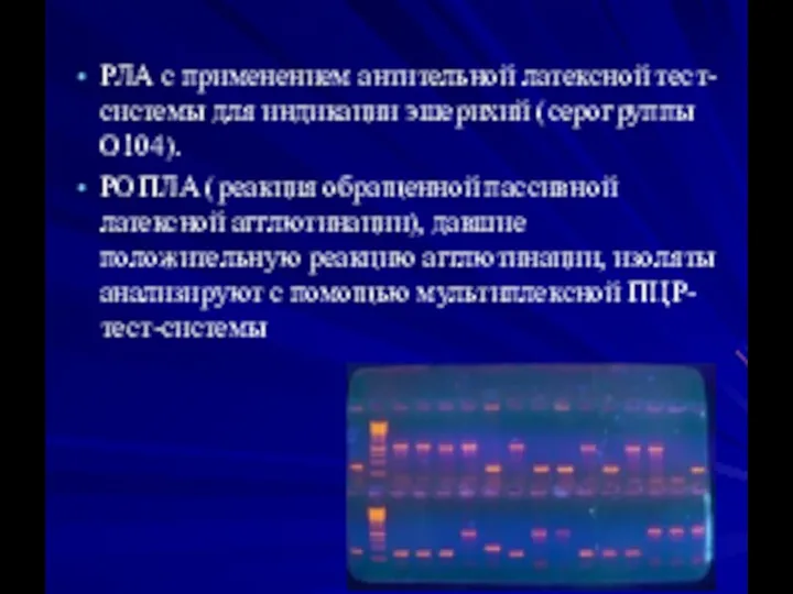 РЛА с применением антительной латексной тест-системы для индикации эшерихий (серогруппы O104). РОПЛА