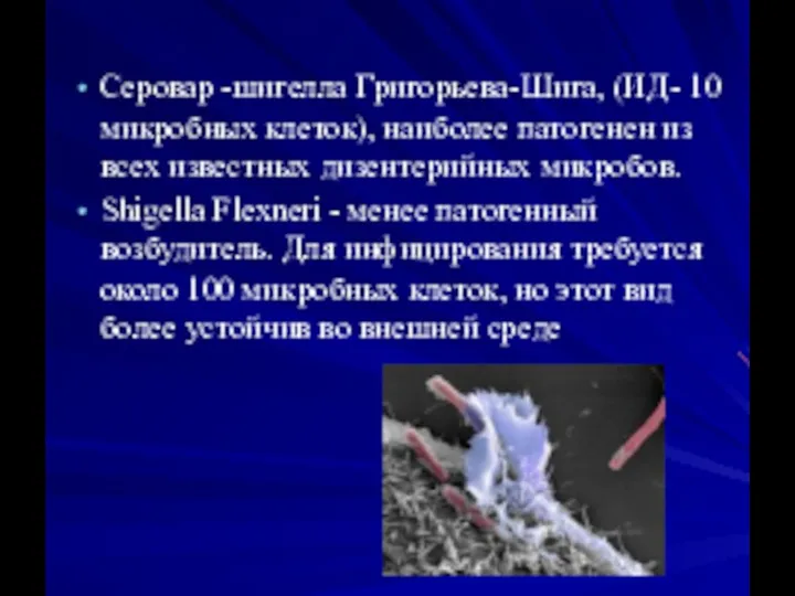 Серовар -шигелла Григорьева-Шига, (ИД- 10 микробных клеток), наиболее патогенен из всех известных