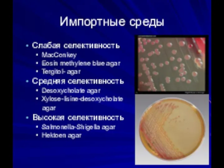 Импортные среды Слабая селективность MacConkey Eosin methylene blue agar Tergitol- agar Средняя