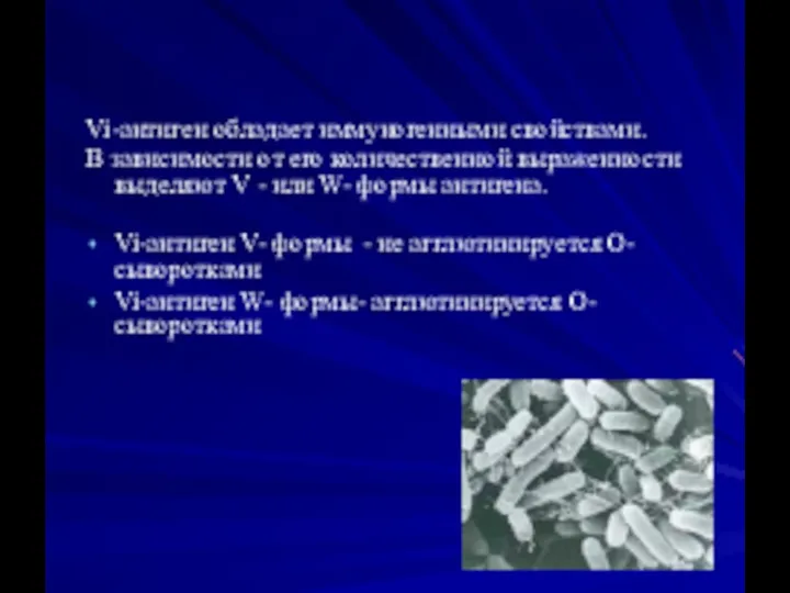 Vi-антиген обладает иммуногенными свойствами. B зависимости от его количественной выраженности выделяют V