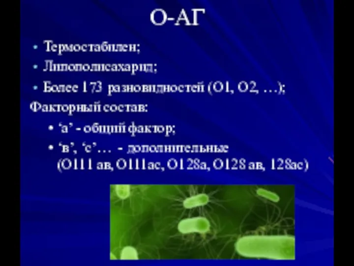 О-АГ Термостабилен; Липополисахарид; Более 173 разновидностей (О1, О2, …); Факторный состав: ‘а’