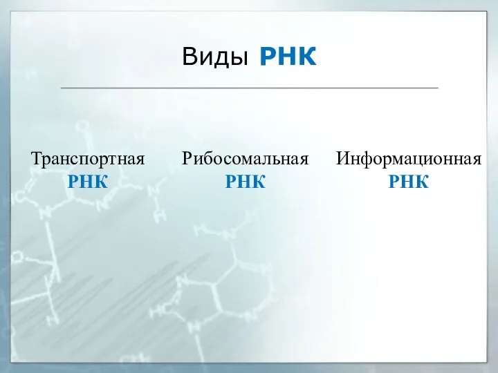 Виды РНК Транспортная РНК Рибосомальная РНК Информационная РНК