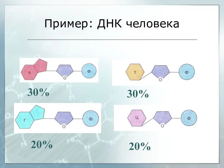 Пример: ДНК человека 30% 30% 20% 20%