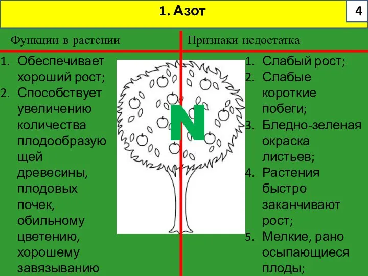 1. Азот N Функции в растении Признаки недостатка Слабый рост; Слабые короткие
