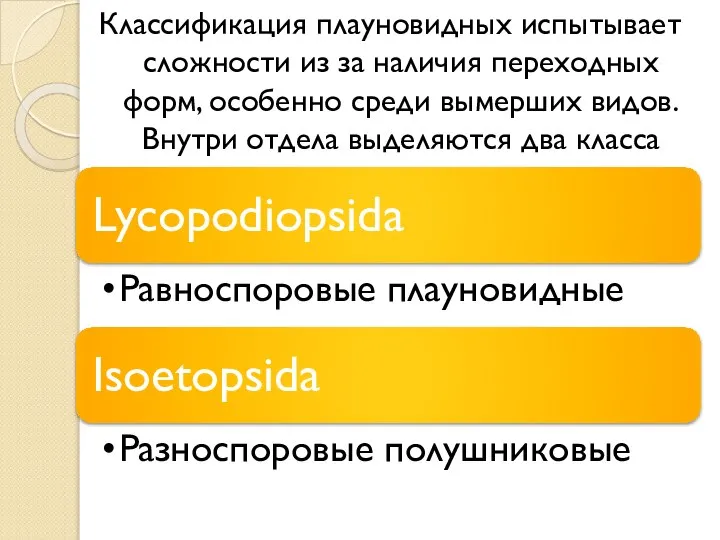 Классификация плауновидных испытывает сложности из за наличия переходных форм, особенно среди вымерших