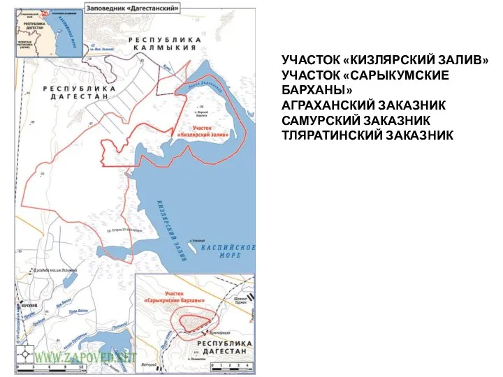 УЧАСТОК «КИЗЛЯРСКИЙ ЗАЛИВ» УЧАСТОК «САРЫКУМСКИЕ БАРХАНЫ» АГРАХАНСКИЙ ЗАКАЗНИК САМУРСКИЙ ЗАКАЗНИК ТЛЯРАТИНСКИЙ ЗАКАЗНИК