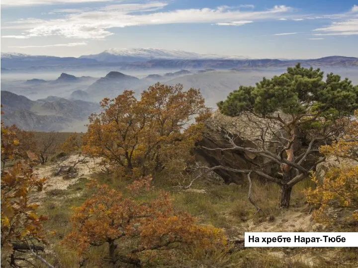 На хребте Нарат-Тюбе