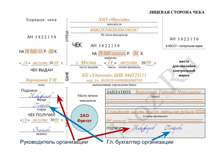 ЗАО Фрегат Руководитель организации Гл. бухгалтер организации