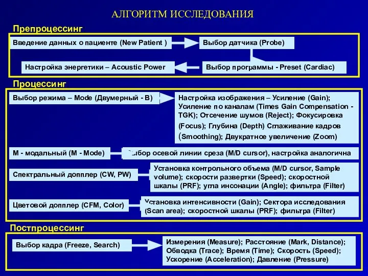 АЛГОРИТМ ИССЛЕДОВАНИЯ Выбор датчика (Probe) Выбор программы - Preset (Cardiac) Введение данных