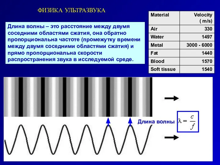 ФИЗИКА УЛЬТРАЗВУКА Длина волны Длина волны – это расстояние между двумя соседними