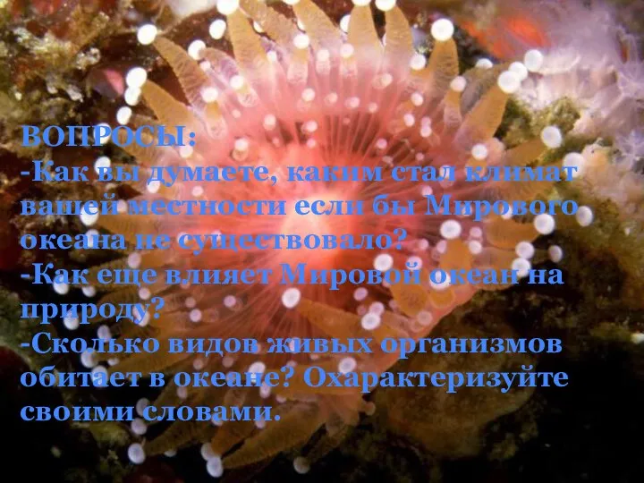 ВОПРОСЫ: -Как вы думаете, каким стал климат вашей местности если бы Мирового