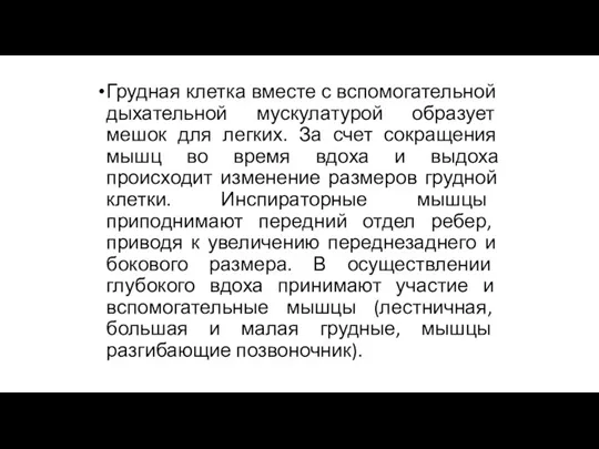 Грудная клетка вместе с вспомогательной дыхательной мускулатурой образует мешок для легких. За