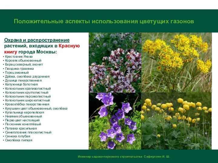 Охрана и распространение растений, входящих в Красную книгу города Москвы: Крестовник Якова