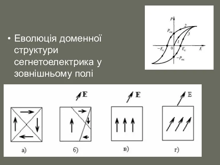 Еволюція доменної структури сегнетоелектрика у зовнішньому полі