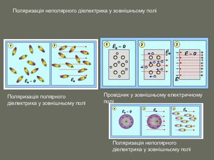 Поляризація неполярного діелектрика у зовнішньому полі Поляризація неполярного діелектрика у зовнішньому полі