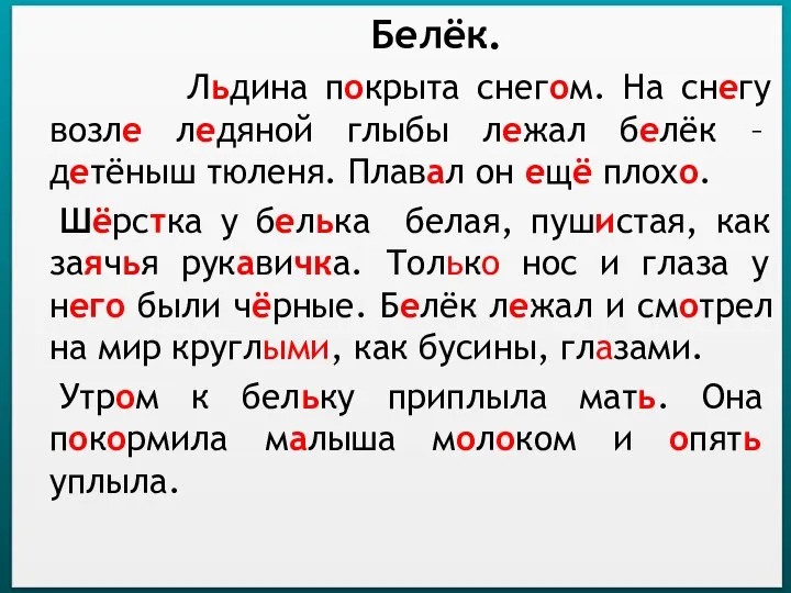 Белёк. Льдина покрыта снегом. На снегу возле ледяной глыбы лежал белёк –