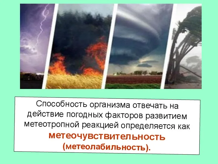 Способность организма отвечать на действие погодных факторов развитием метеотропной реакцией определяется как метеочувствительность (метеолабильность).