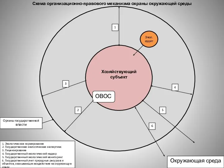 Хозяйствующий субъект ОВОС 2 3 Органы государственной власти 1 Экол.аудит 4 5