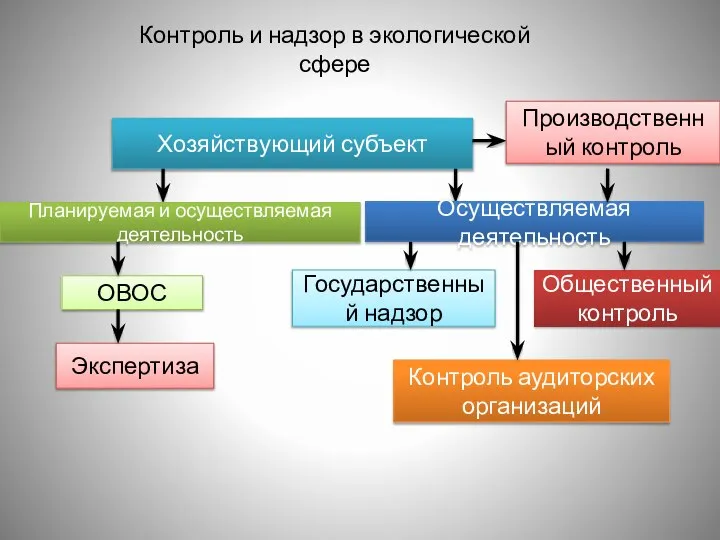 Хозяйствующий субъект Планируемая и осуществляемая деятельность Осуществляемая деятельность ОВОС Экспертиза Производственный контроль