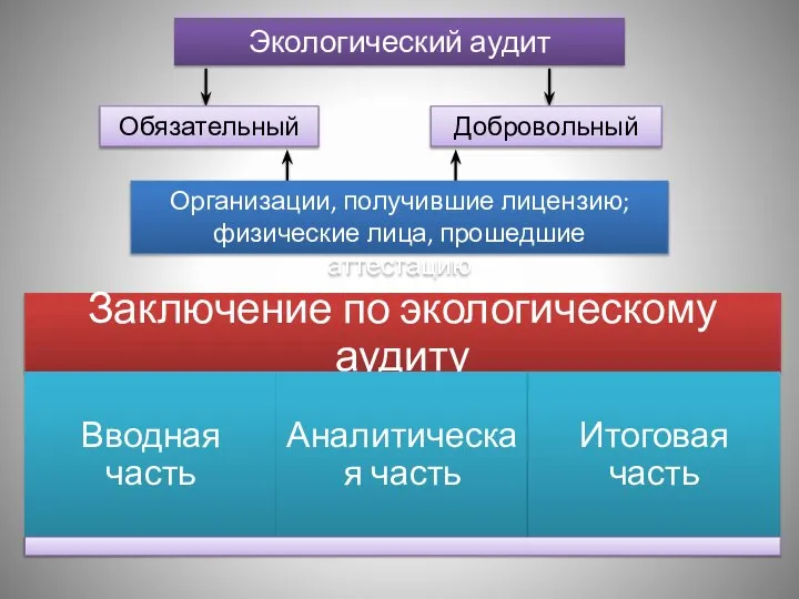 Экологический аудит Обязательный Добровольный Организации, получившие лицензию; физические лица, прошедшие аттестацию