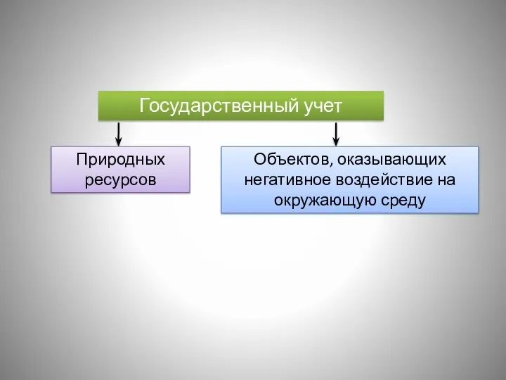 Государственный учет Природных ресурсов Объектов, оказывающих негативное воздействие на окружающую среду