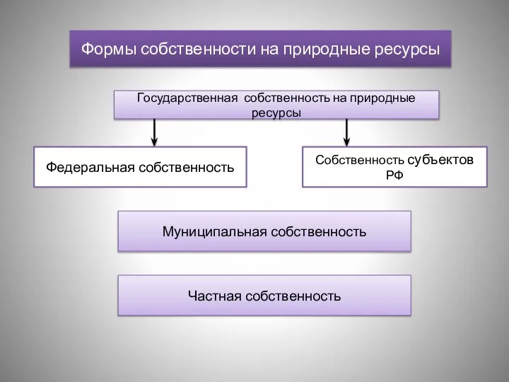 Формы собственности на природные ресурсы Государственная собственность на природные ресурсы Федеральная собственность