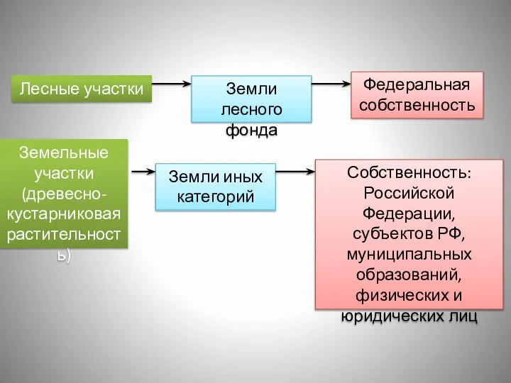 Лесные участки Земли лесного фонда Федеральная собственность Земельные участки (древесно-кустарниковая растительность) Земли