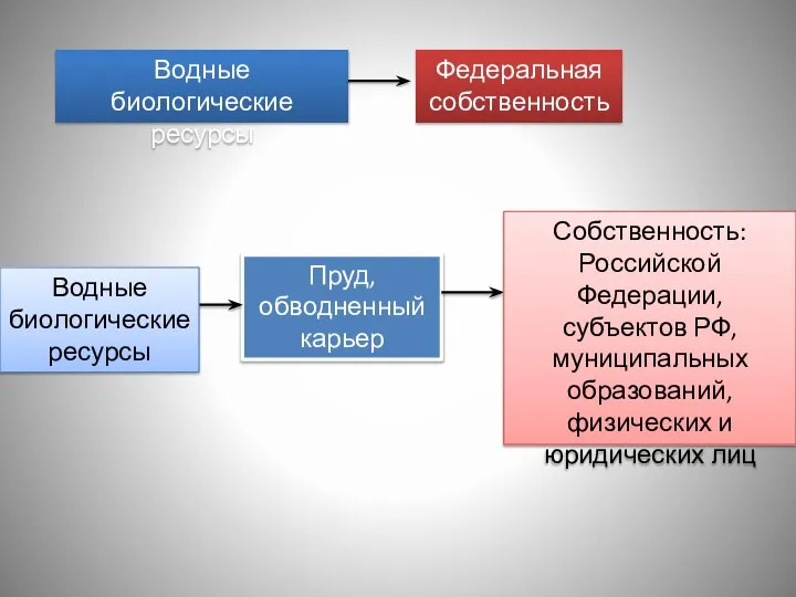 Водные биологические ресурсы Федеральная собственность Пруд, обводненный карьер Водные биологические ресурсы Собственность: