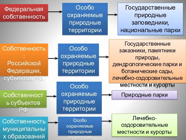 Особо охраняемые природные территории Федеральная собственность Собственность субъектов РФ Государственные природные заповедники,