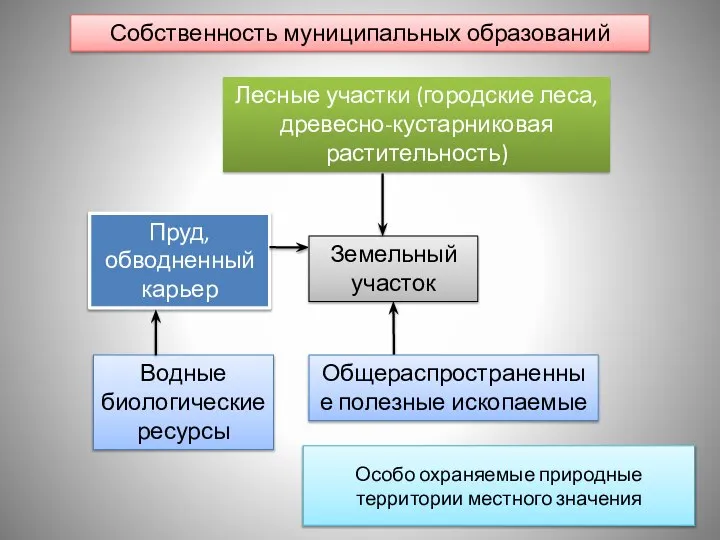 Лесные участки (городские леса, древесно-кустарниковая растительность) Собственность муниципальных образований Пруд, обводненный карьер