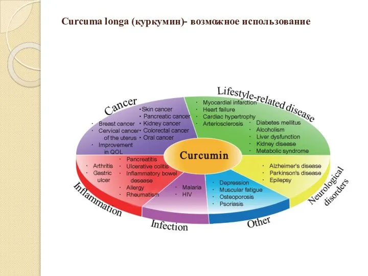 Curcumа longa (куркумин)- возможное использование