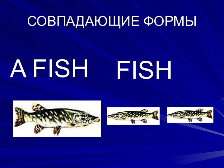 СОВПАДАЮЩИЕ ФОРМЫ A FISH FISH