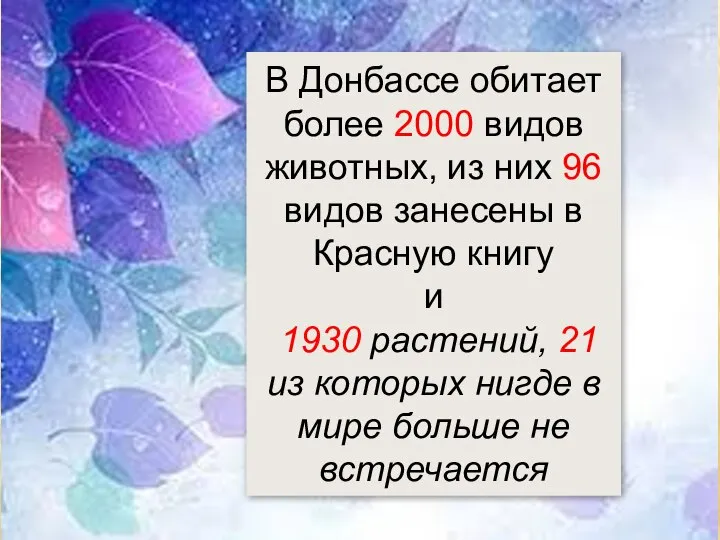 В Донбассе обитает более 2000 видов животных, из них 96 видов занесены