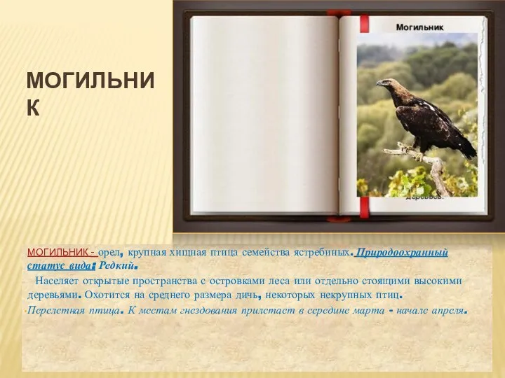 МОГИЛЬНИК МОГИЛЬНИК - орел, крупная хищная птица семейства ястребиных. Природоохранный статус вида: