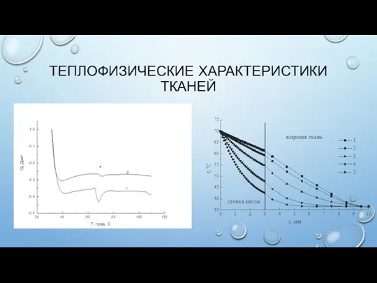 ТЕПЛОФИЗИЧЕСКИЕ ХАРАКТЕРИСТИКИ ТКАНЕЙ