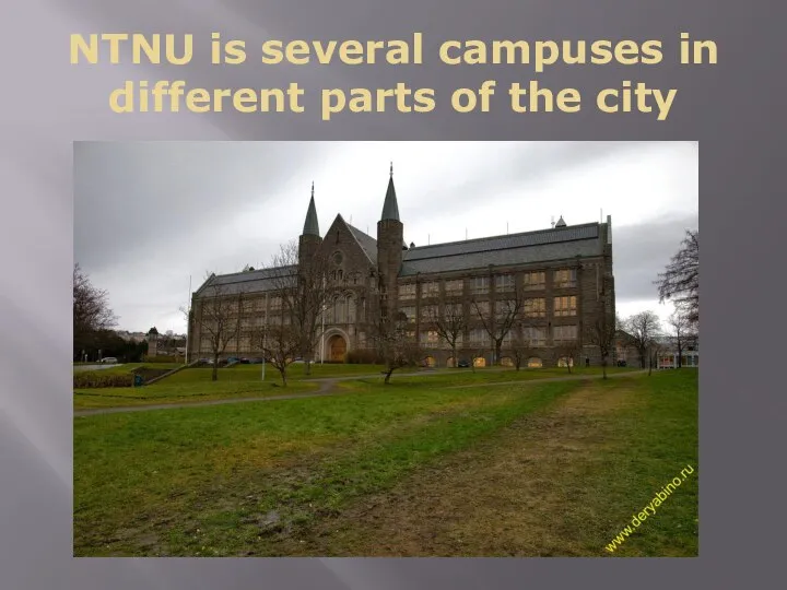 NTNU is several campuses in different parts of the city