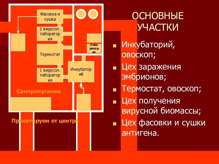 ОСНОВНЫЕ УЧАСТКИ Инкубаторий, овоскоп; Цех заражения эмбрионов; Термостат, овоскоп; Цех получения вирусной