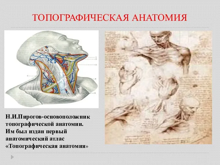 ТОПОГРАФИЧЕСКАЯ АНАТОМИЯ Н.И.Пирогов-основоположник топографической анатомии. Им был издан первый анатомический атлас «Топографическая анатомия»