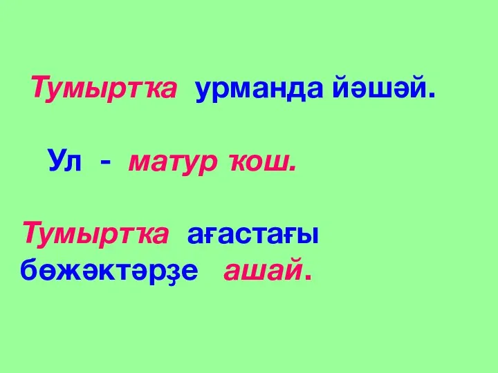 Тумыртҡа урманда йәшәй. Ул - матур ҡош. Тумыртҡа ағастағы бөжәктәрҙе ашай.