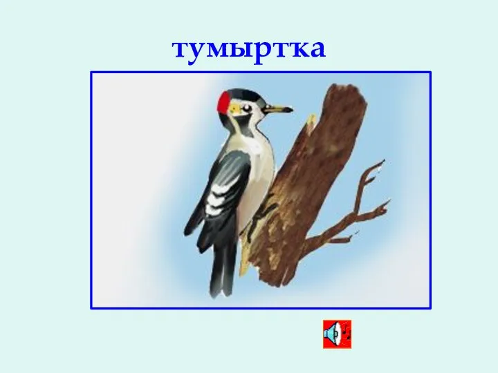 тумыртҡа