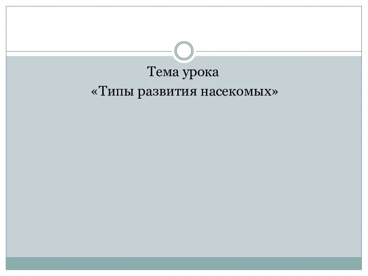 Тема урока «Типы развития насекомых»