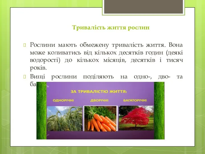 Тривалість життя рослин Рослини мають обмежену тривалість життя. Вона може коливатись від