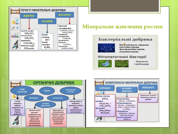 Мінеральне живлення рослин