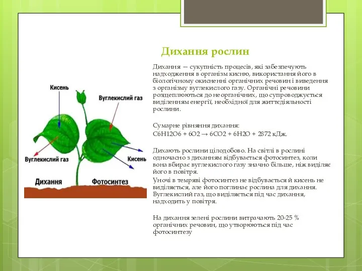 Дихання рослин Дихання — сукупність процесів, які забезпечують надходження в організм кисню,