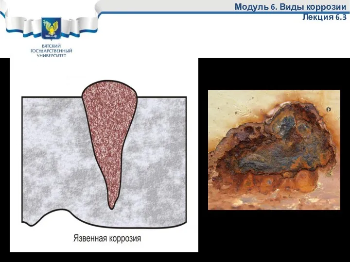 Модуль 6. Виды коррозии Лекция 6.3