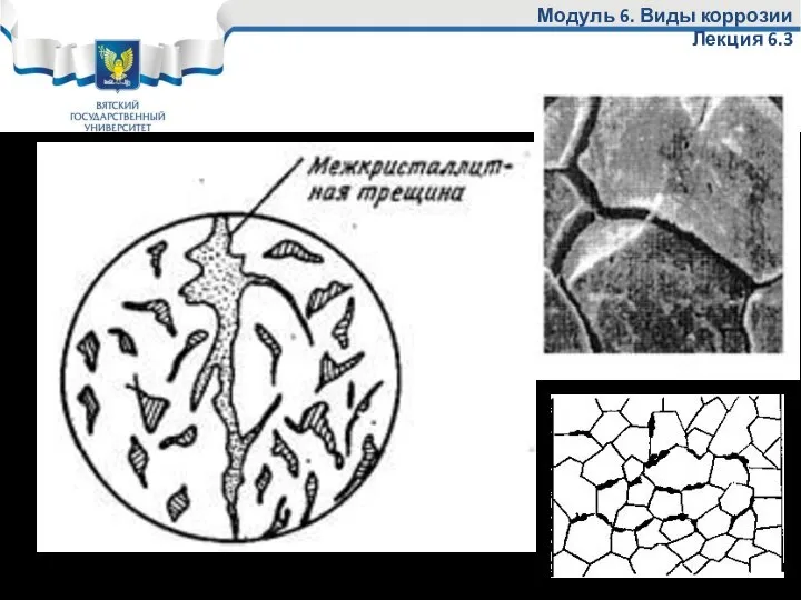 Модуль 6. Виды коррозии Лекция 6.3