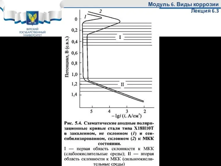 Модуль 6. Виды коррозии Лекция 6.3